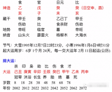 生辰八字分析_八字水旺的命主在2020年事业运势如何？