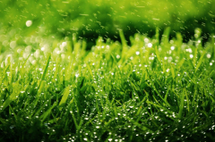 奇门遁甲术算命_行人走失去哪里容易找到（(奇门)）