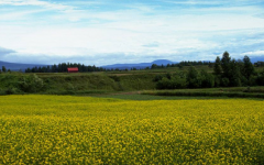 生辰八字分析一个八字哪个流年对命主影响较大