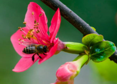 八字命理_从八字看出来你这辈子的命中贵人什么时间能遇到