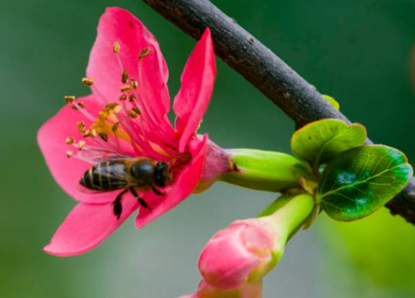 1596281865479632.png blob.png