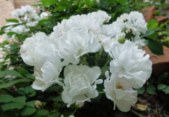 生辰八字分析_浅谈八字看婚姻要点（算命先生）