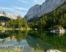 生辰八字分析_容易获得贤妻相助的命理特征(贤妻)