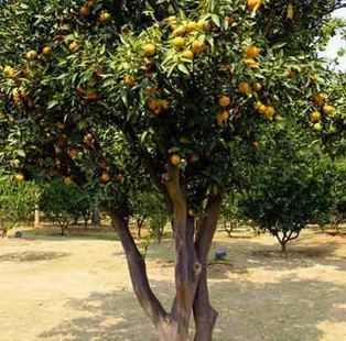 1596450169918642.png blob.png