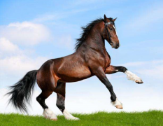 浅谈如何通过八字寻找命中贵人（算命先生）