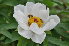 风水命理_大师解说如何增强自己的运势（图解）