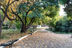 玄学大师_从八字入手分析富贵贫贱(命理知识)