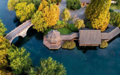 你知道天生好福气的生肖都有哪几位么？