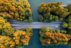 八字属性相冲对运势有何影响（算命先生）