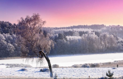 算命先生解析_什么是两子不冲午_两午不冲子？(命理知识)