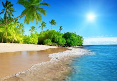 生肖算命大师测算公元2020年8月9日星期日运势