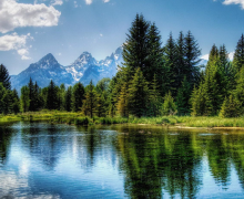 这几个属相的人2020年把握住机会能名利双收