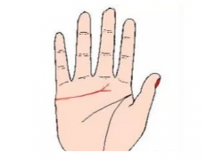 看手相算命图解6大感情线分叉的命运如何