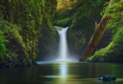 前半生不顺中晚年好运的案例（运势）