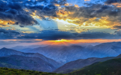 八字占卜_桃花星在不同位置代表什么 ?