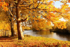 这几种面相的男人是较有前途的