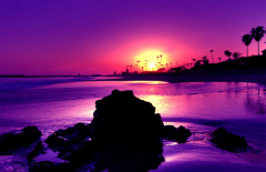 举例说明八字格局之金神格