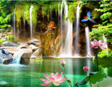 心眼儿较好的生肖（属相算命）