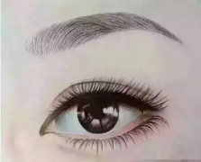 柳叶眉在男女面相上的表现（面相）