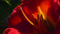 八月中收入不断上涨的生肖有哪些?（属相）