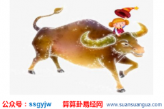 生肖属牛的爸爸生牛宝宝好不好？命理测算八字合不合（图解）