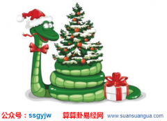 运程算命_5月出生属蛇命运好吗？（图解）