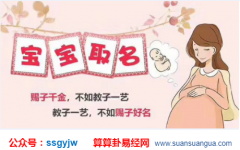 易经起名_2020年8月17日出生的宝宝看八字起名字（图解）