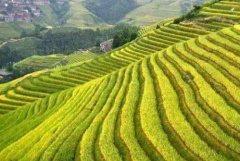 进入中年后会转运的三个生肖女（属相运势）