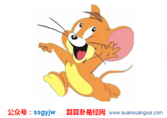 财运算命_2021年生肖属鼠的人财运怎样？（图解）