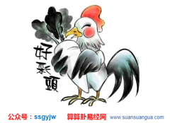 生日算命_生肖鸡在白露出生的命运如何?这天出生很好吗?(图解)