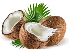 写“字”占卜起卦（卜卦算命）