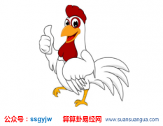 运程算命_2021年属鸡的人桃花运如何?会离婚吗(图解)