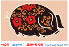 运程测试_属猪的人2021年的运势运程每月12个月完整版（图解）