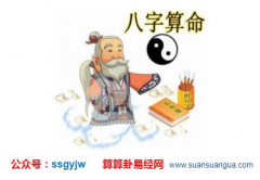 生辰八字分析_这位乙亥年女命中配偶怎样（爱情）