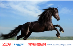 1990年出生属马的人2021年情感婚姻事业财运总运势运程（图解）