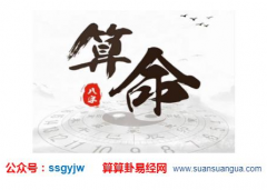 生辰八字分析_八字中某五行过多对命局的影响（八字）