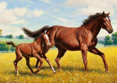 属相运势_9月10之后财神青睐富贵多金的四大生肖人(财运)