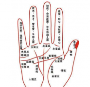 手相算命_大师解说怎样看孩子是否聪明(手相)