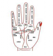 看相算命图解_婚姻线末端上升的人（手相）