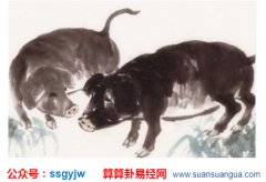 运程测试_生肖属猪人的优点和缺点分析（图解）