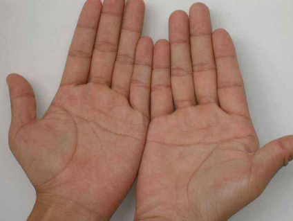 看手相算命图解手掌中的三才纹手相