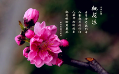 网上算命批八字_谈命中带金的金箔金命一生婚姻和财运（八字）