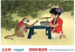 命理测试：1992年的属猴男命2021年上半年运风水势如何？（图文）