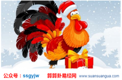 命理测试:1993年属鸡的男人2021年上半年运势如何?(图解)