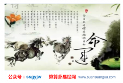 八字占卜_什么样的八字命格能当官(八字)