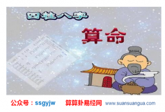 八字占卜_两子冲一午的八字(财运)