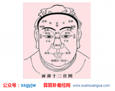 看相算命图解_鼻梁低鼻头尖的人(财帛宫)