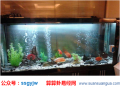 风水专家_揭秘留住桃花的风水布置（脱单）