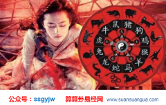 运势测算_养什么宠物可以提升财运（生肖）