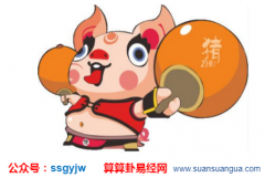 命理测试_1971年属猪的男人2021年上半年运势如何？（图解）